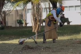 1741869057_IMG_9464.jpg